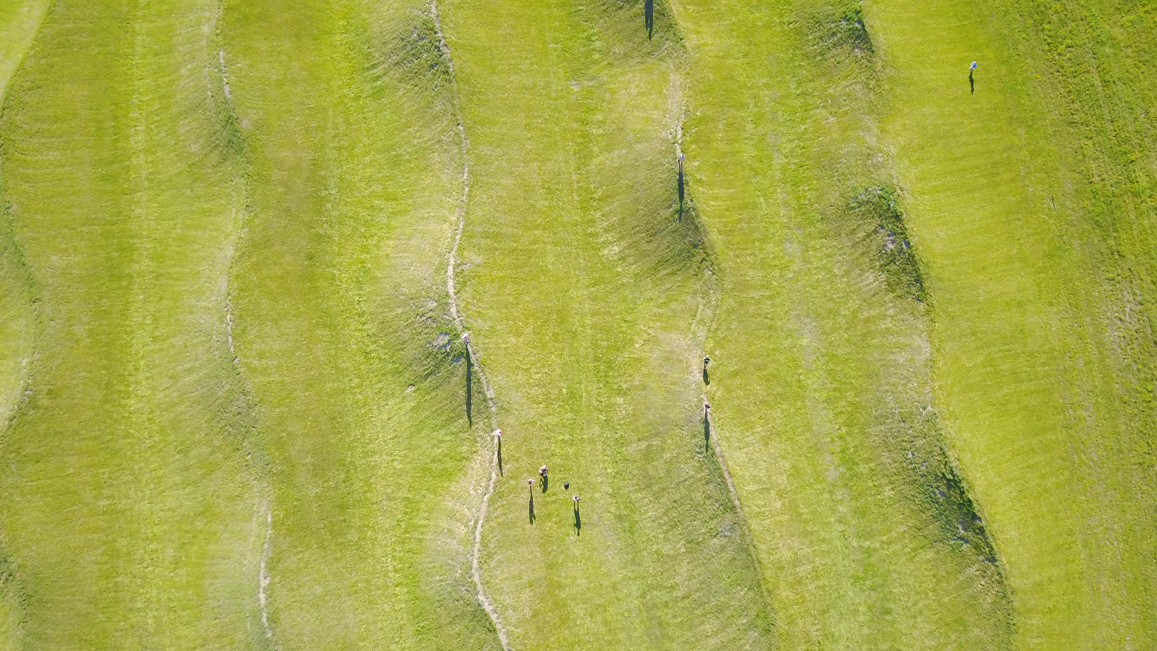 top down view of the waves sculpture